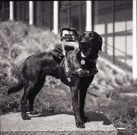 dog_photography_film_scan-671