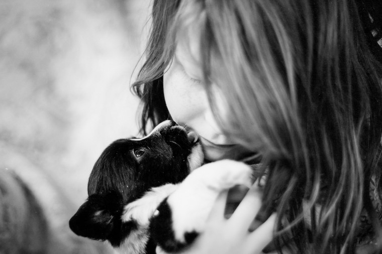 Cardigan corgi puppy licking face Massachusetts_family_photography Film_photographer_NH film_photography_new_england black_and_white_photography_Massachusetts_