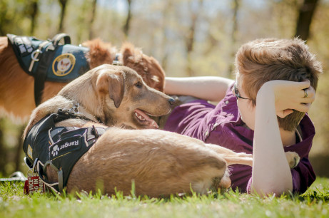 service dogs NH_dog_photography dog_photography massachusetts documentary_pet_photography new_england_dog_photography